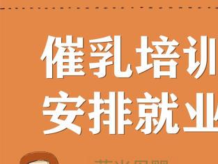 专业乳房保健与产后康复 成都图催乳师公司一站式服务解决方案