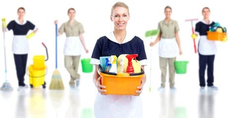 懒人家政 让高品质家政服务触手可及