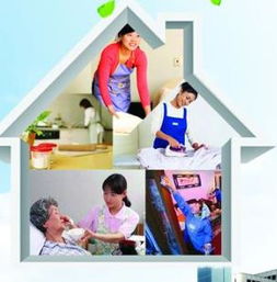 忠心家政服务加盟店数量及家政服务概览